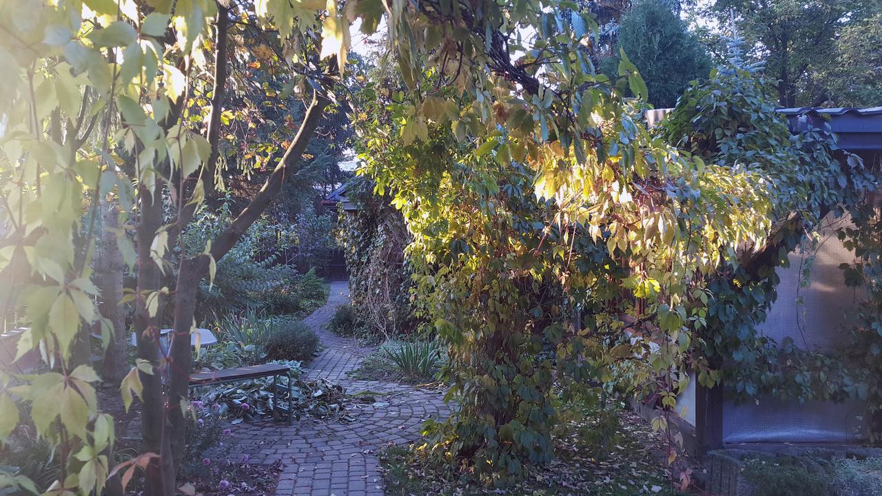 Pensjonat Europa Brzeziny Exterior foto