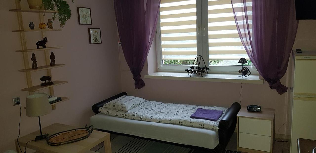 Pensjonat Europa Brzeziny Exterior foto